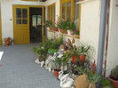 DSCF1353