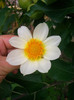 CIMG6059