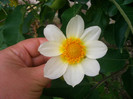 CIMG6060