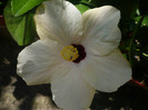 P1140946