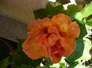 P1140987