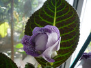 P1140953
