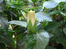 DSC08917