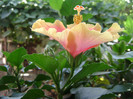 DSC08919