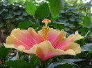 DSC08920