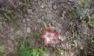 P150612_10.21_[02]