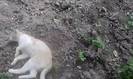 P150612_10.21_[03]