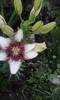 P180612_20.30_[01]