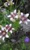 P180612_20.30_[02]