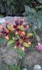 P180612_20.30_[04]