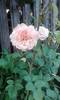 P180612_20.31_[01]