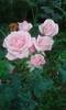 P180612_20.31_[03]