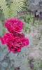 P180612_20.32_[01]