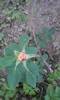 P180612_20.33_[03]
