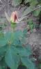P180612_20.33_[04]