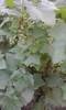 P180612_20.33_[05]