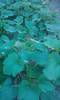 P180612_20.34_[01]