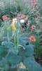 P180612_20.36_[01]