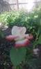 P190612_15.56_[01]
