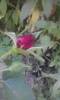 P190612_15.57_[02]