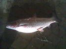 Cam000303