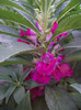 DSCF7773
