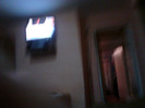 IMG10565