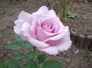 2012-06-23 16.31.02
