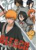 Bleach_1214919455_2004