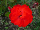 019