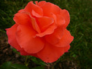 094