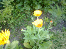 14062012823