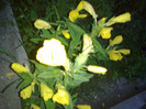 14062012834