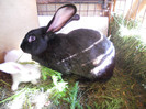 DSCN3678