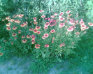 Imag055