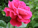 P5117388