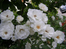 P5117389