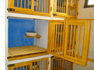 DSC01557