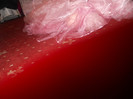 DSCN3886