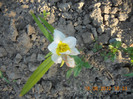 DSCN1459