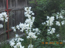 DSCN1477