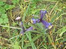 DSCN1503