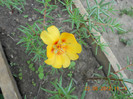 DSCN1504