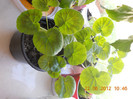 DSCN1494