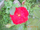 DSCN1481
