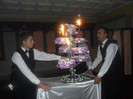 DSCN3952