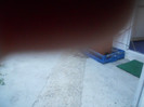 DSCN3987
