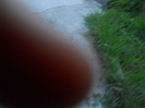 DSCN3996