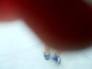 DSCN3997