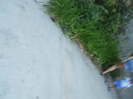 DSCN4012